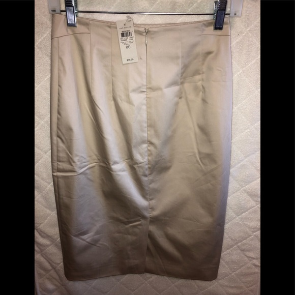 Ann Taylor Pencil Skirt NWT - Picture 4 of 5
